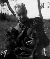 Black-and-white outdoor photograph of Robert M. Yerkes, a man with short light hair in a dark jacket, seated under trees and holding two young chimpanzees; the printed caption reads "Dr. Yerkes with 'Chim' and 'Panzee.'"
